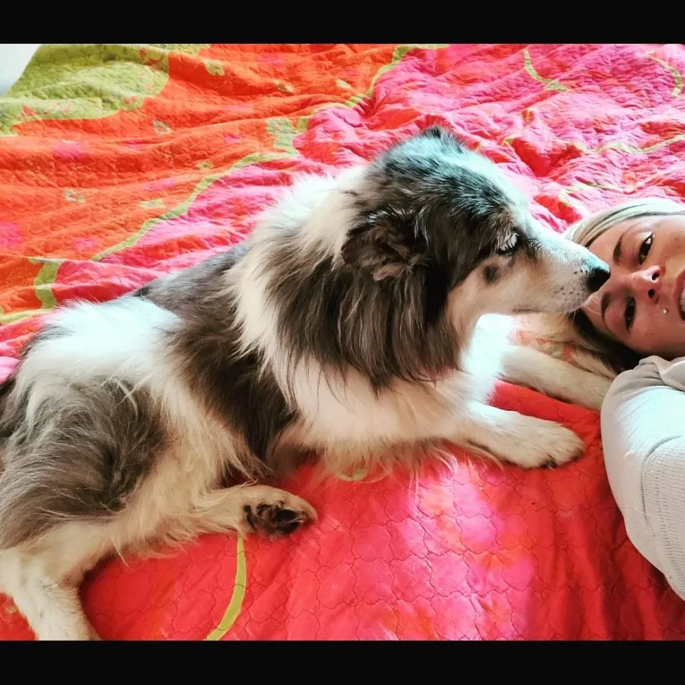 Chiot à Bidart