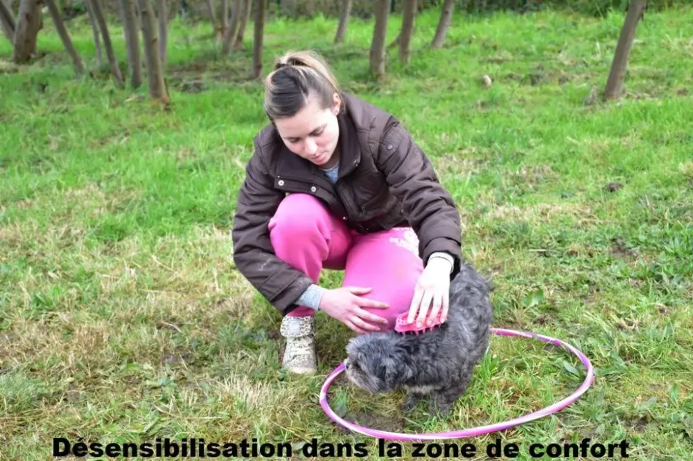 seance-education-canine
